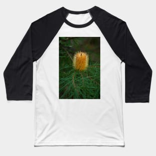 Hairpin Banksia Baseball T-Shirt